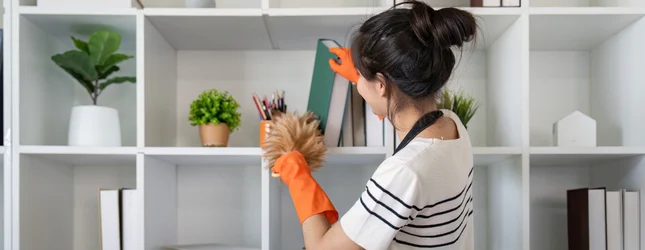 Hulp in de huishouding